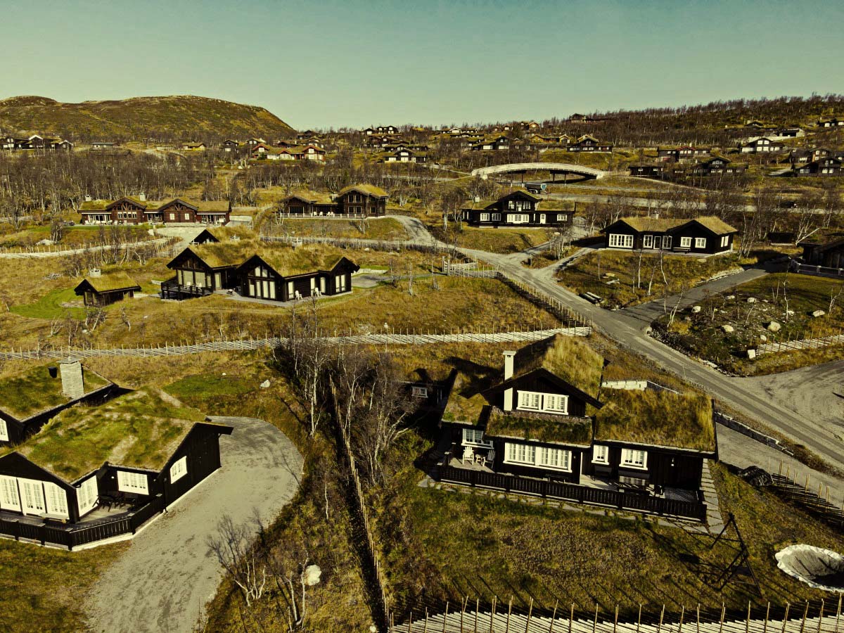 Gyep tetőfedő lemezek